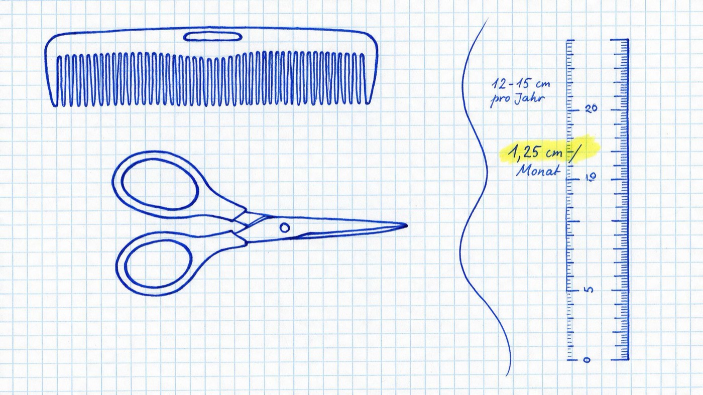 Matheheft-Illustration: Kamm, Schere und Haarsträhne neben einem Lineal mit den Notizen 12-15 cm pro Jahr und gelb markiert 1,25 cm/Monat